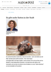Mainpost berichtet über die Rattenbekämpfung in Würzburg